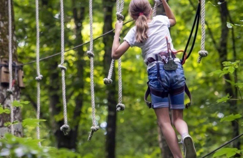 Activiteiten belgische ardennen