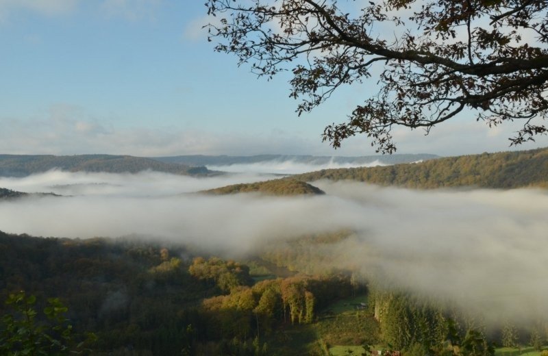 Fietsen door de ardennen